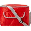 Image of Polyester (420D) rectangular cooler bag